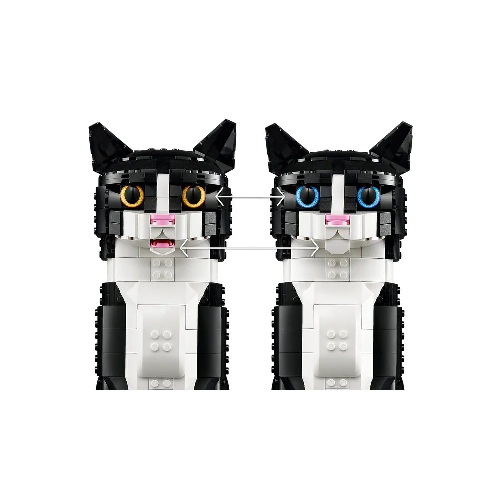 Imagen del producto 5