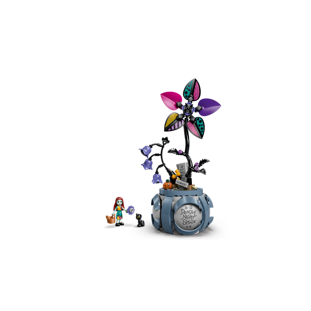 Imagen del producto 6